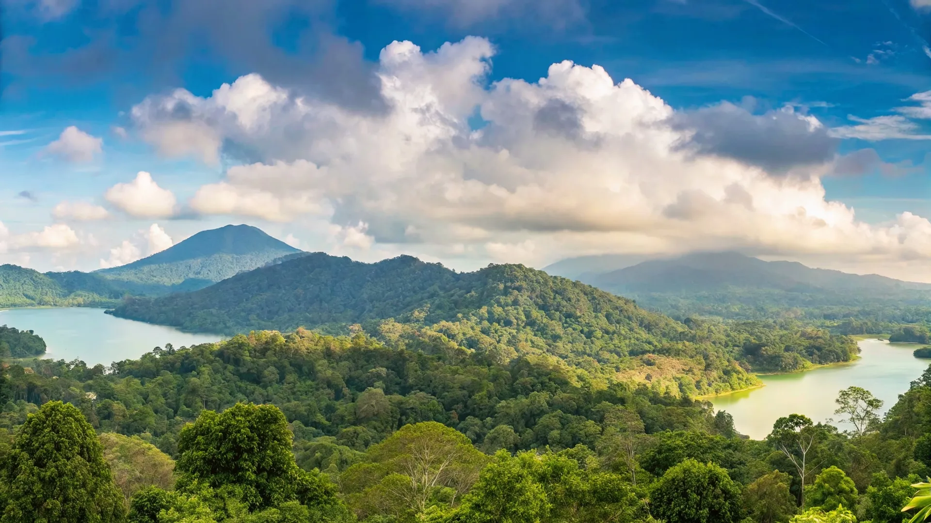Wanagiri Hill | The Bali Experts