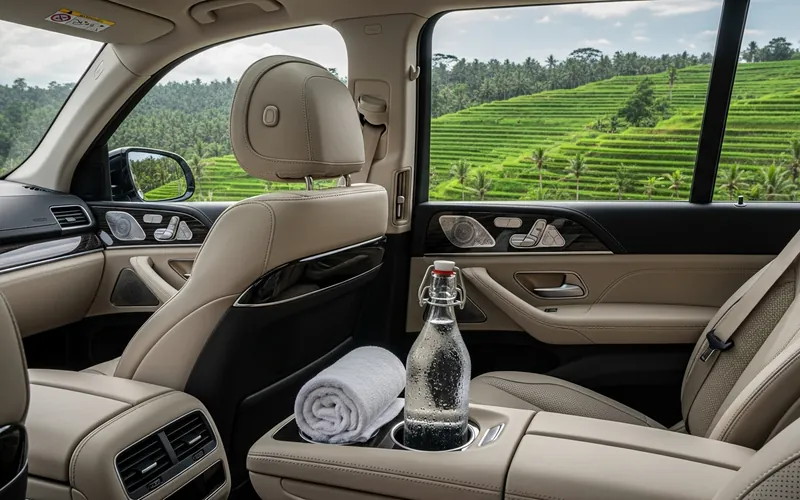 Premium vehicle interior for luxury private driver service